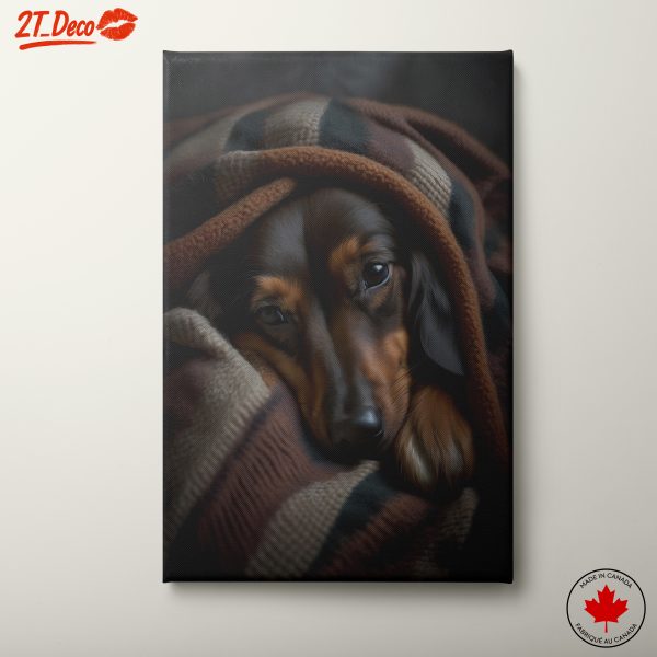 Cozy Dog Wrapped in a Blanket