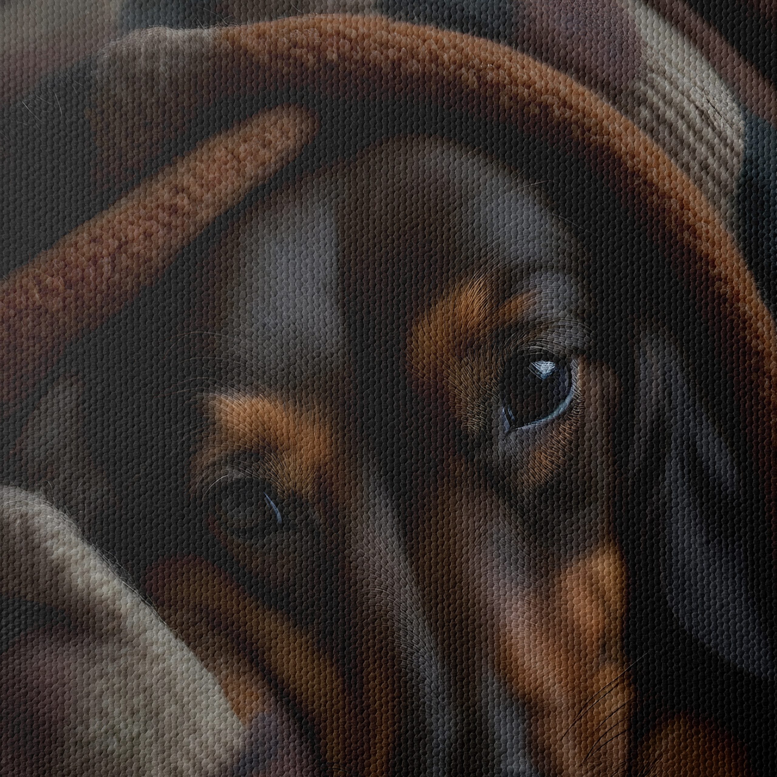 Cozy Dog Wrapped in a Blanket - Image 4