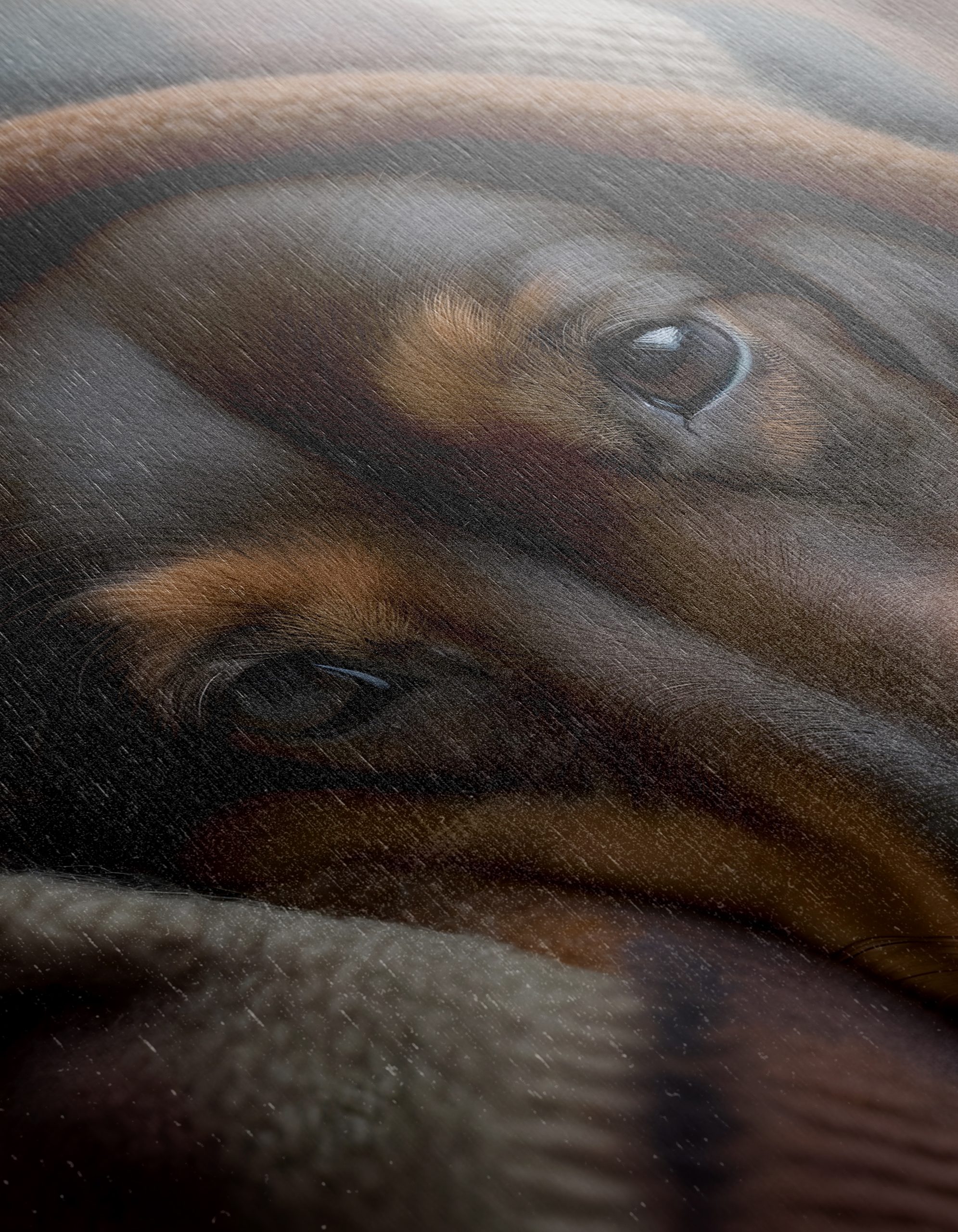 Cozy Dog Wrapped in a Blanket - Image 12