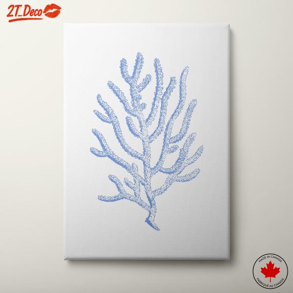 Beautiful Coral Reef Illustrations in Blue