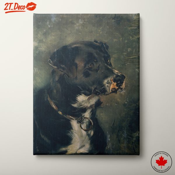Black and White Dog Portrait Art