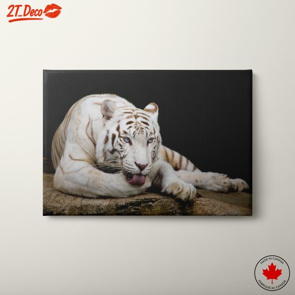 Majestic White Tiger Wall Art