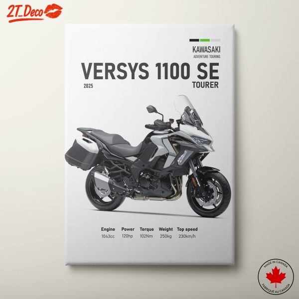 Kawasaki Versys 1100 SE Adventure Touring Art