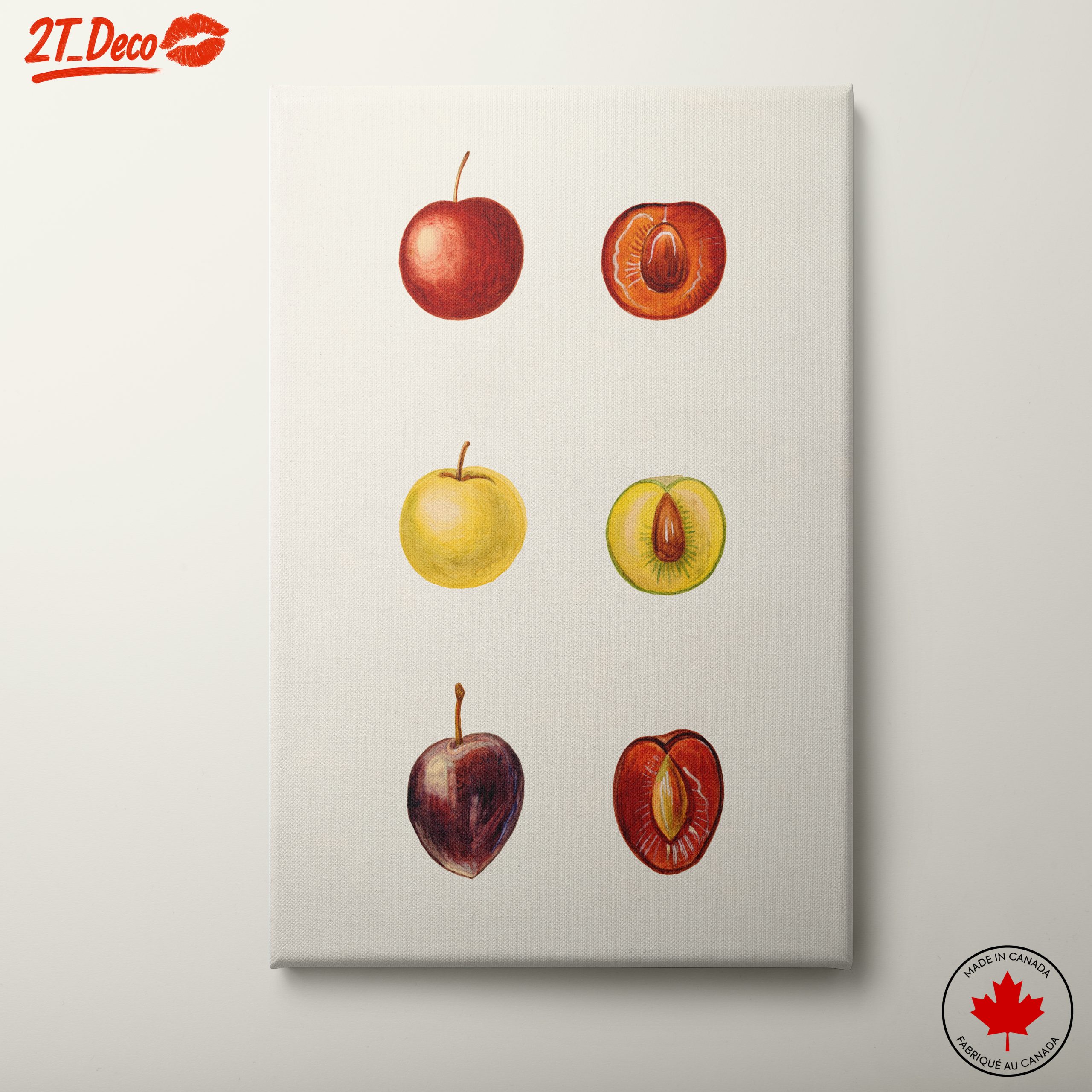 Stylized Fruit Illustrations in Abstract Style
