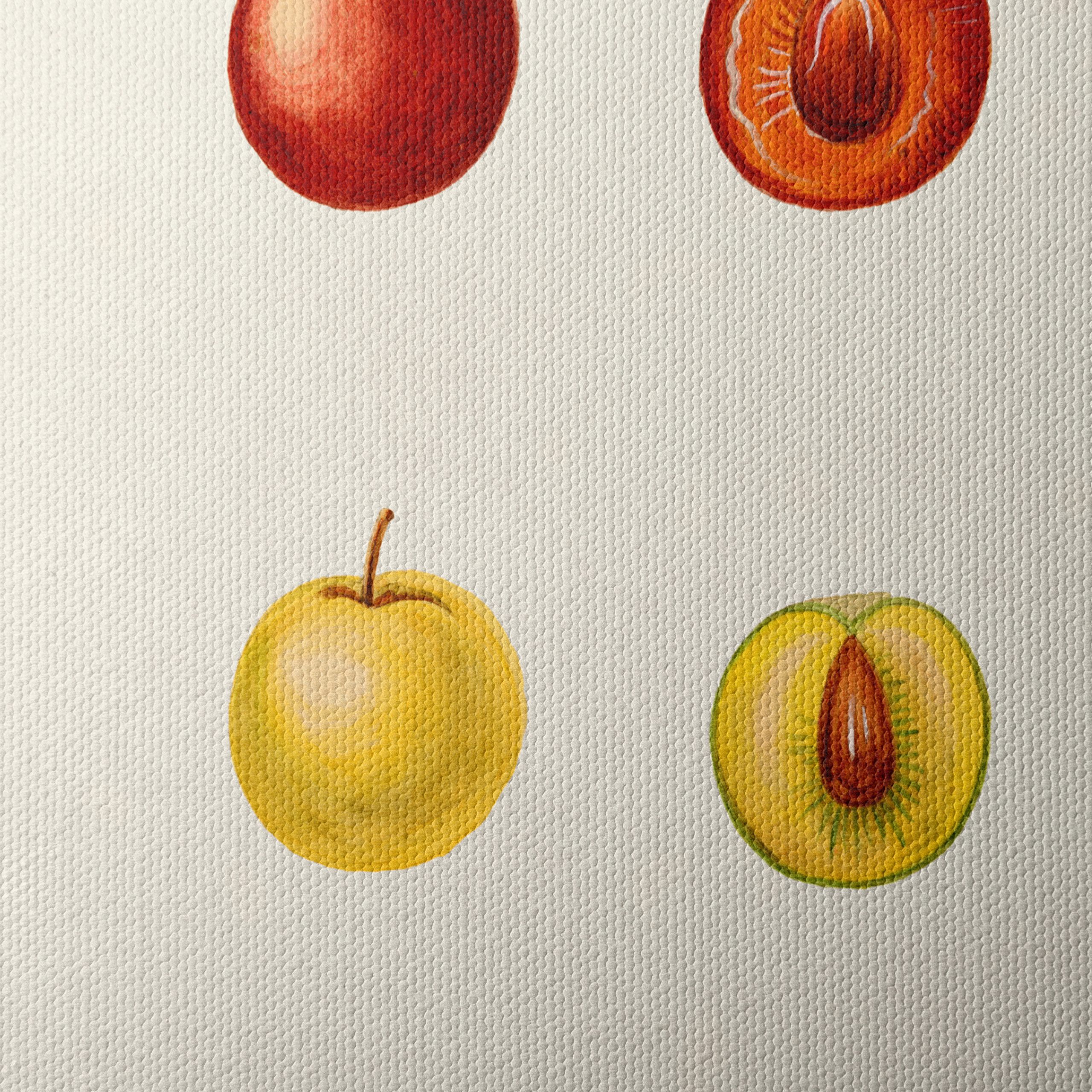Stylized Fruit Illustrations in Abstract Style - Image 4