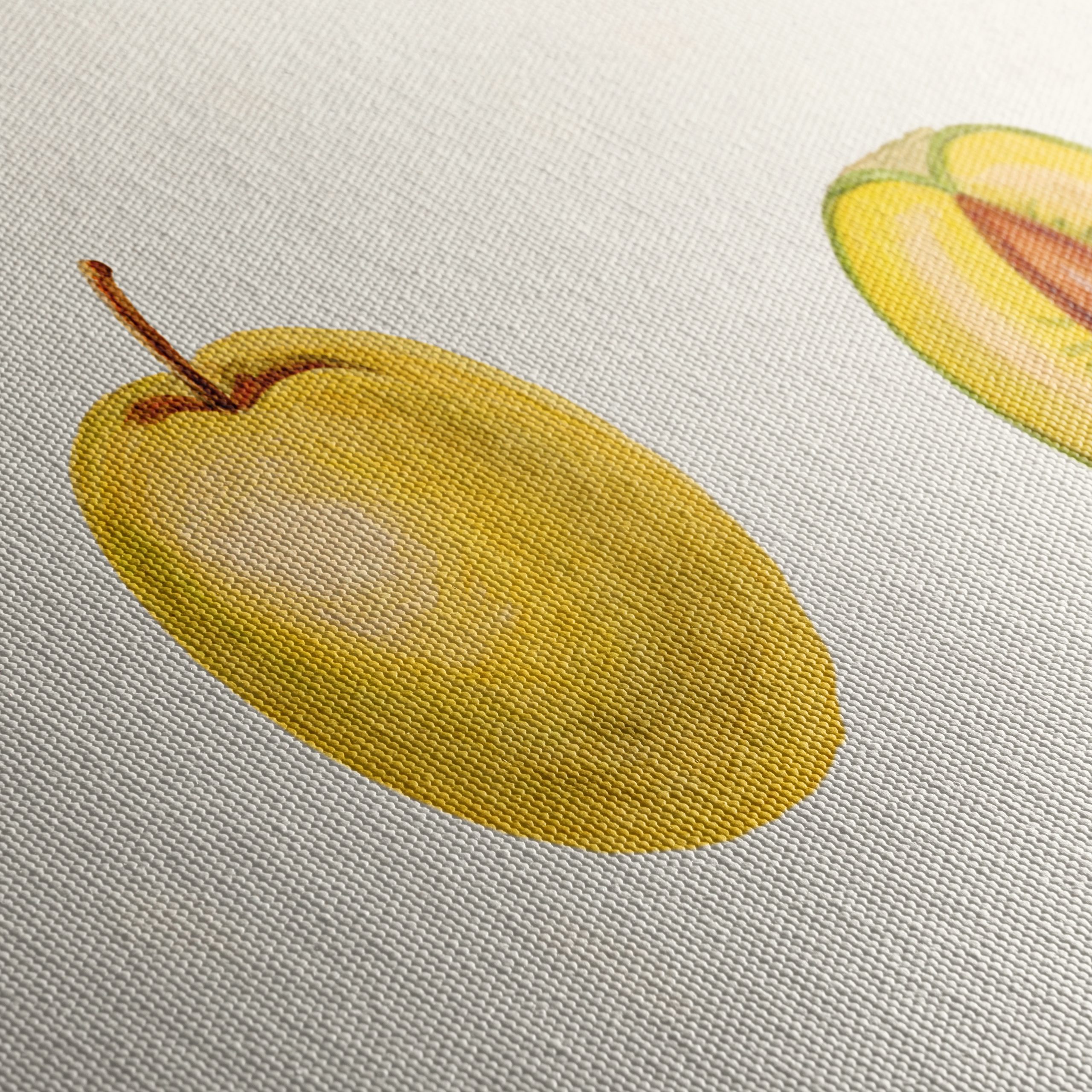 Stylized Fruit Illustrations in Abstract Style - Image 5