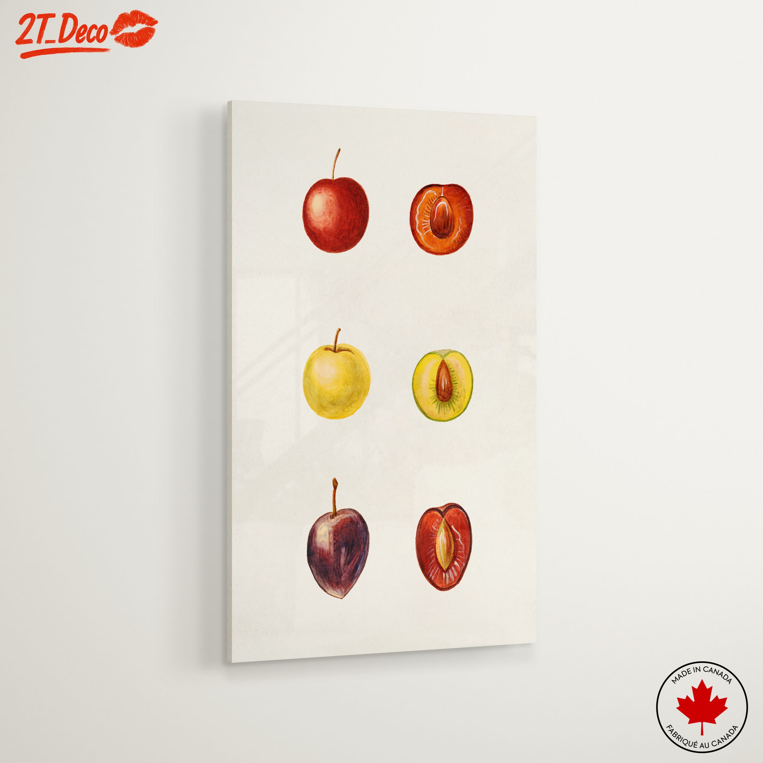 Stylized Fruit Illustrations in Abstract Style - Image 6
