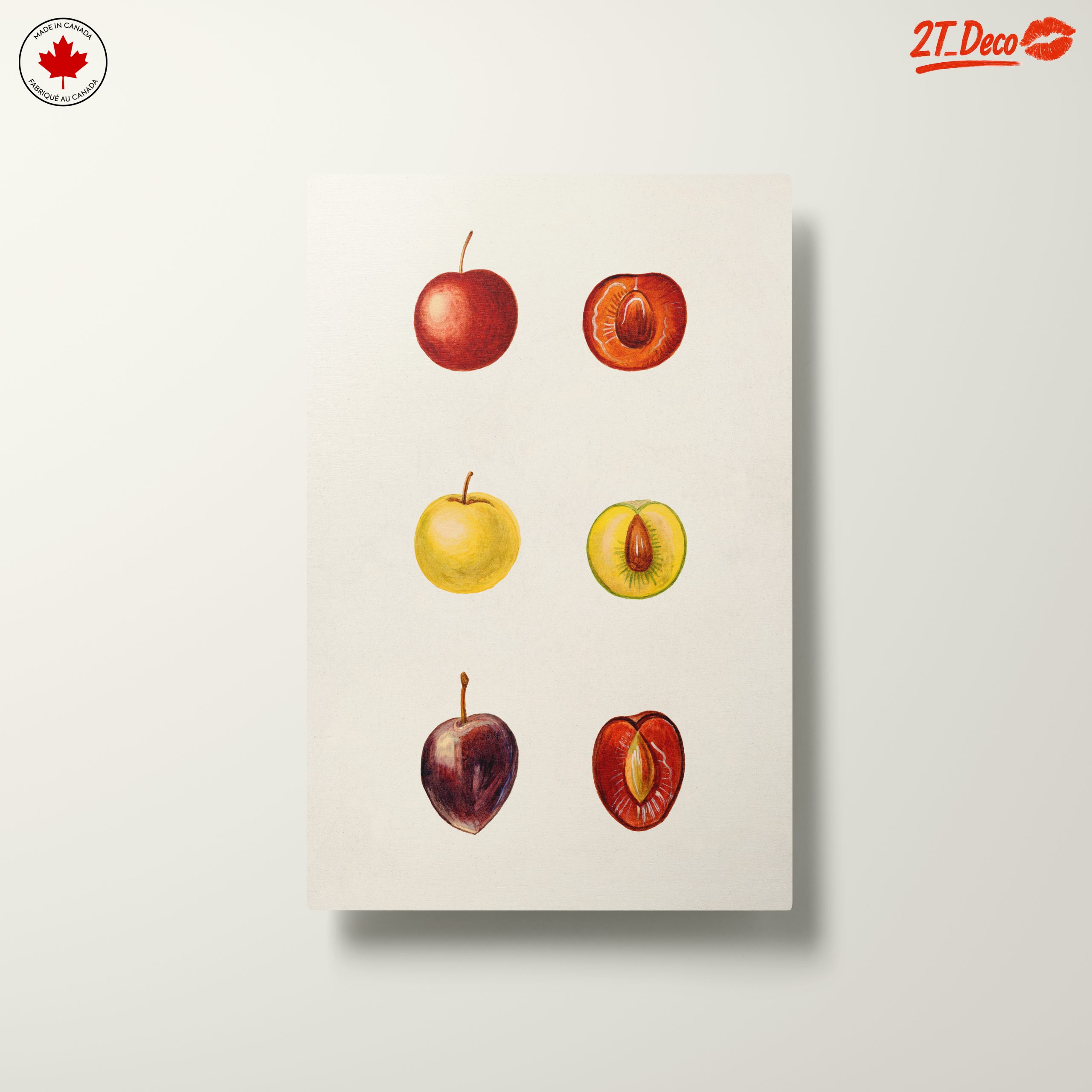 Stylized Fruit Illustrations in Abstract Style - Image 10