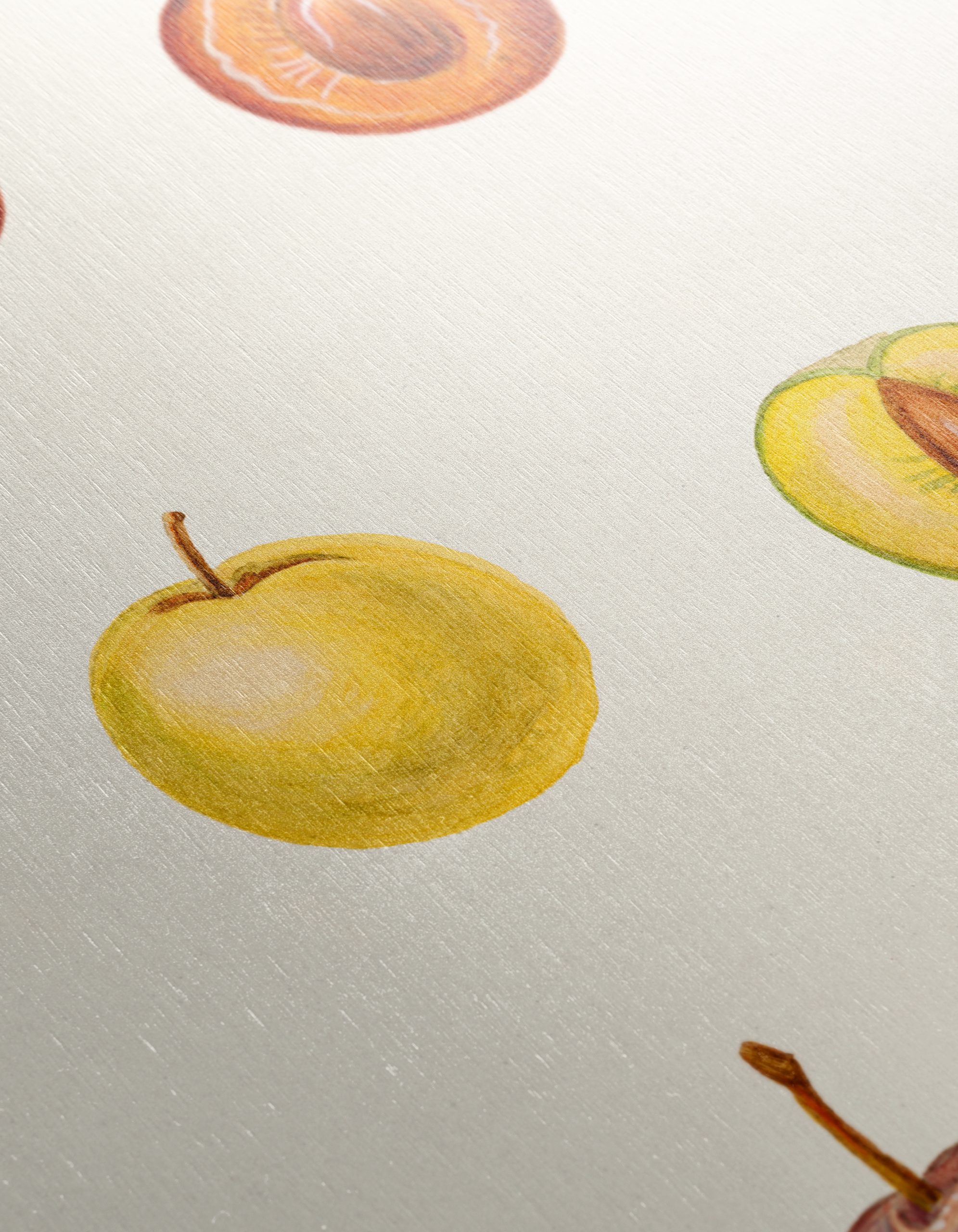 Stylized Fruit Illustrations in Abstract Style - Image 12