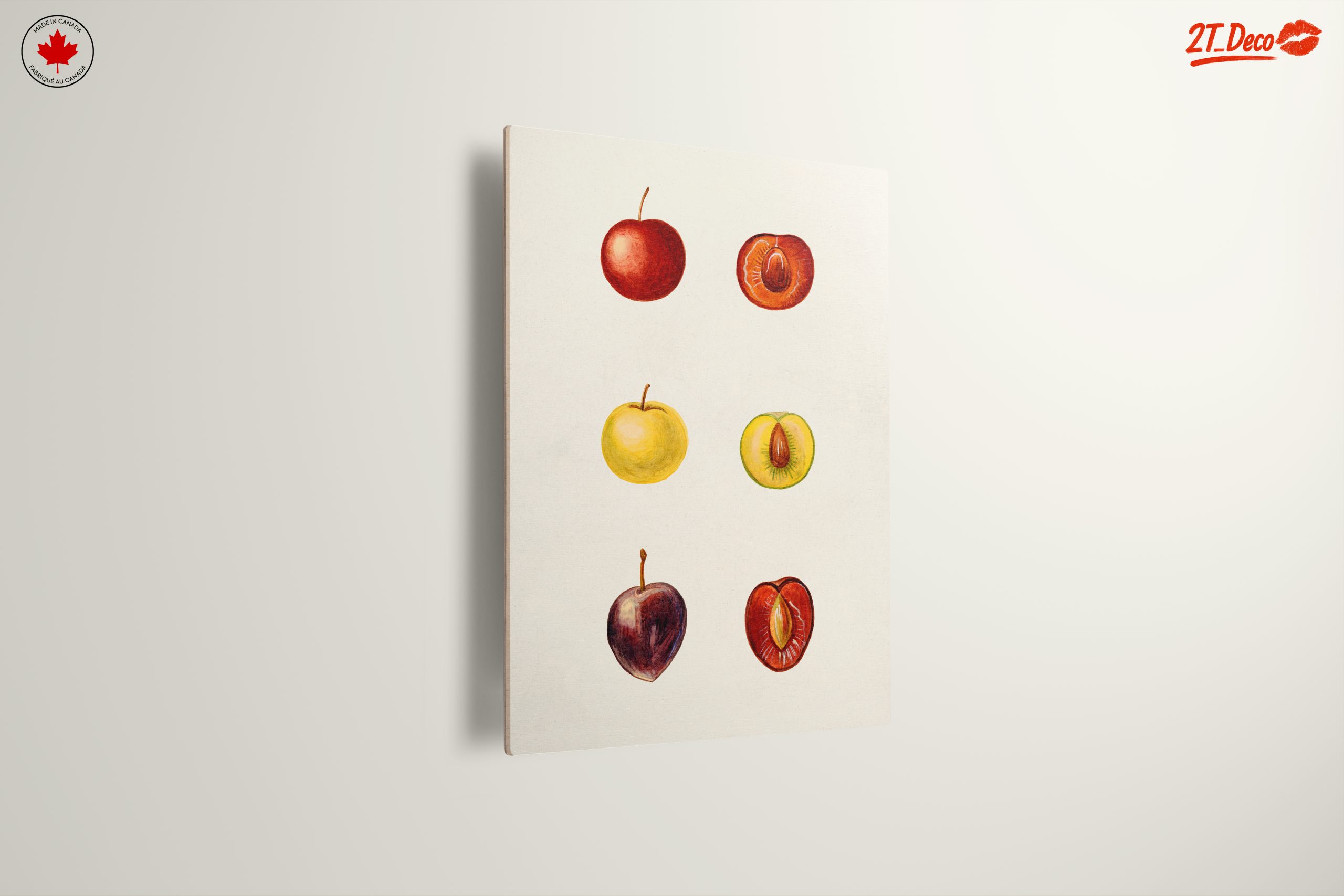 Stylized Fruit Illustrations in Abstract Style - Image 13