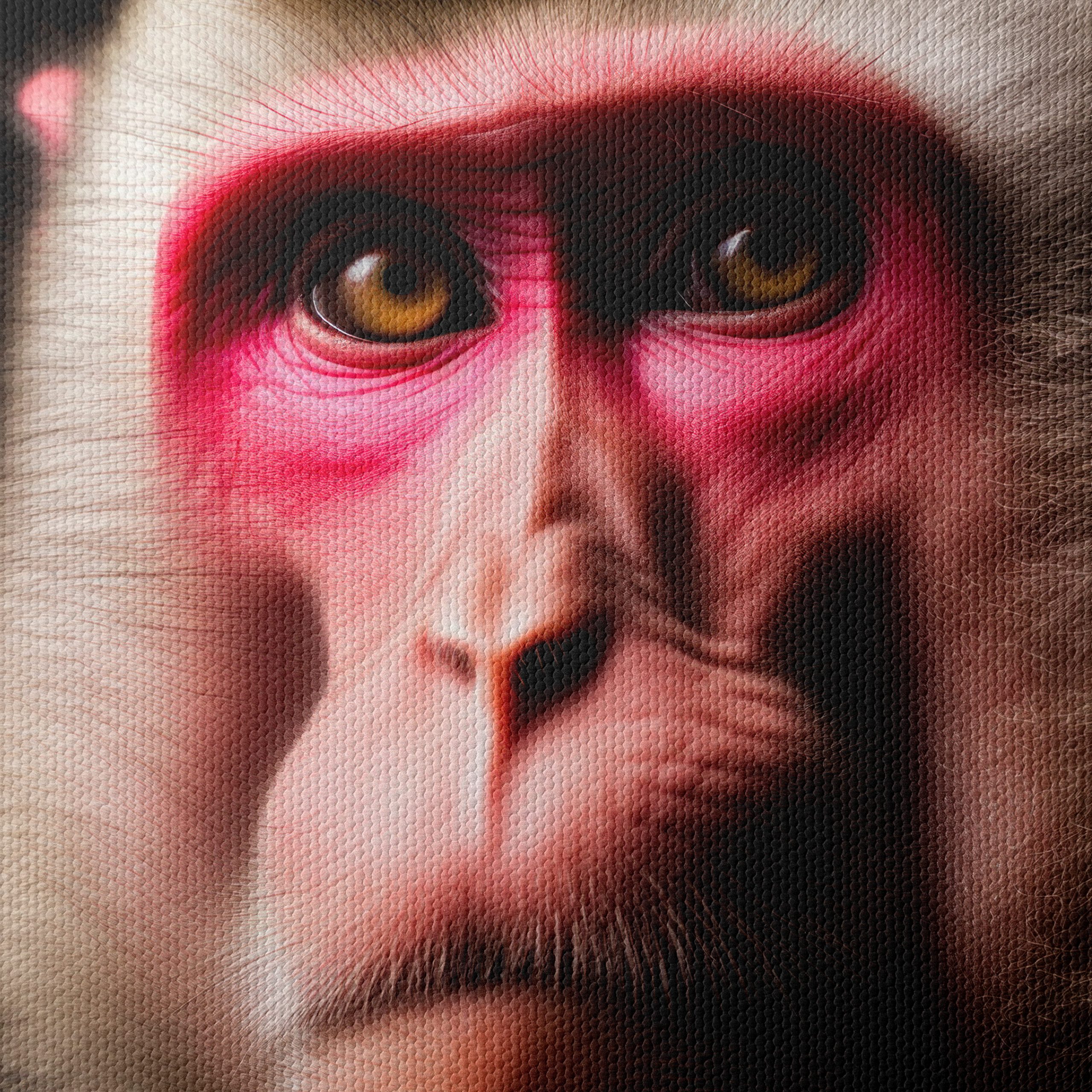 Stunning Close-Up of a Primate - Image 4