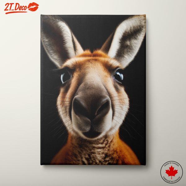 Close-Up Portrait of a Kangaroo