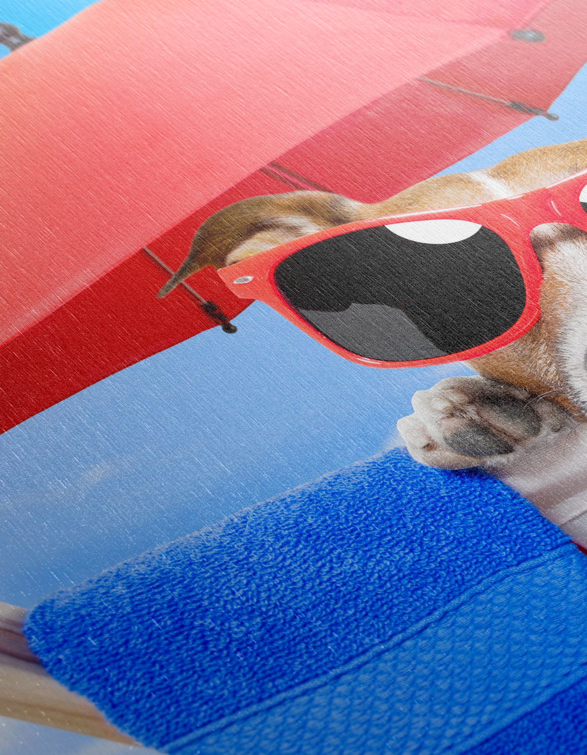 Fun Beach Dog with Sunglasses - Image 12