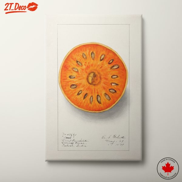 Stylized Abstract Food Illustration