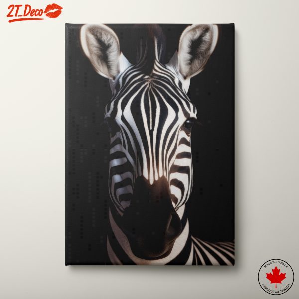 Zebra Wall Art With Striking Black And White Stripes