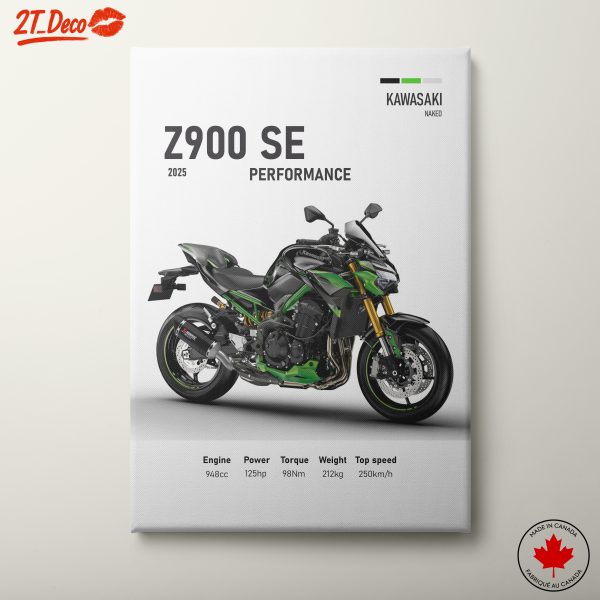 2025 Kawasaki Z900 SE Performance Motorcycle