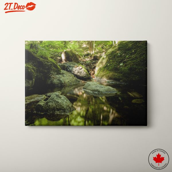 Calm Natural Stream Surrounded by Rocks
