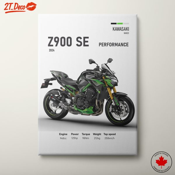 Kawasaki Z900 SE Motorcycle Art 2024