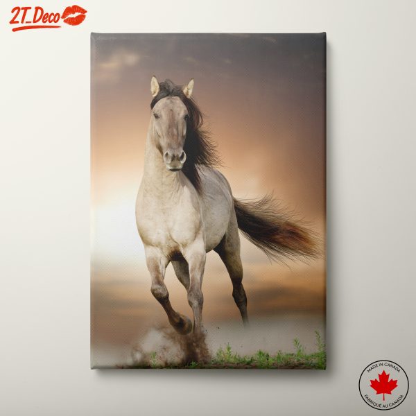 Stunning Horse Portrait in Motion