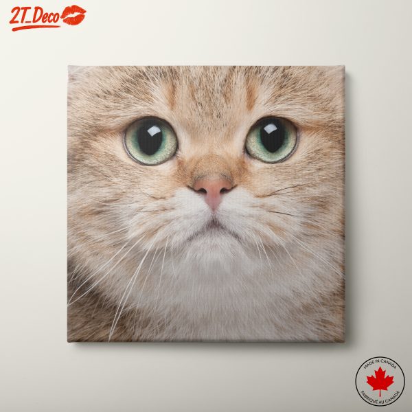 Close-Up Cat Portrait Art