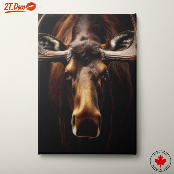 Artistic Moose Portrait on Black Background