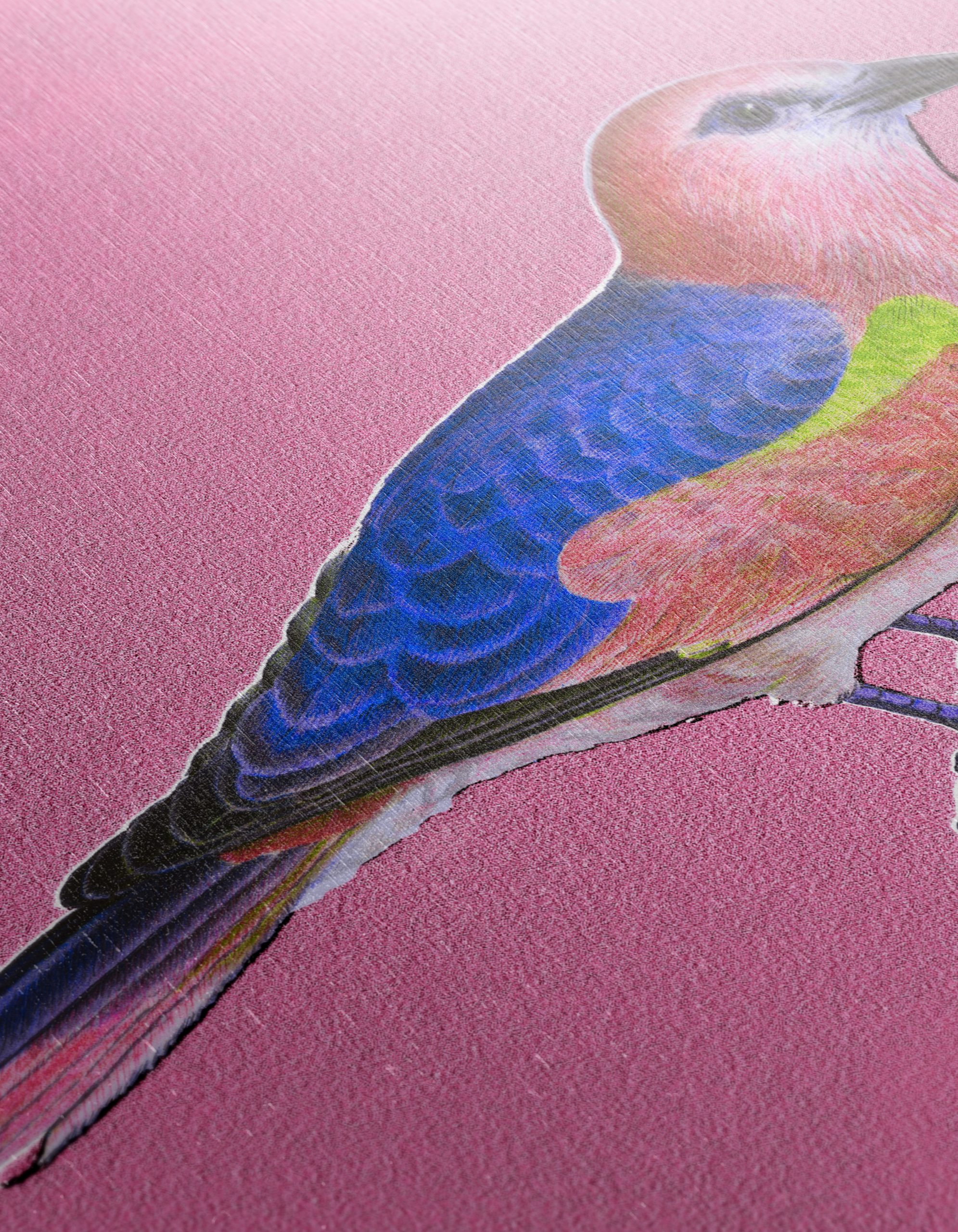 Vibrant Bird Art on Pink Background - Image 12