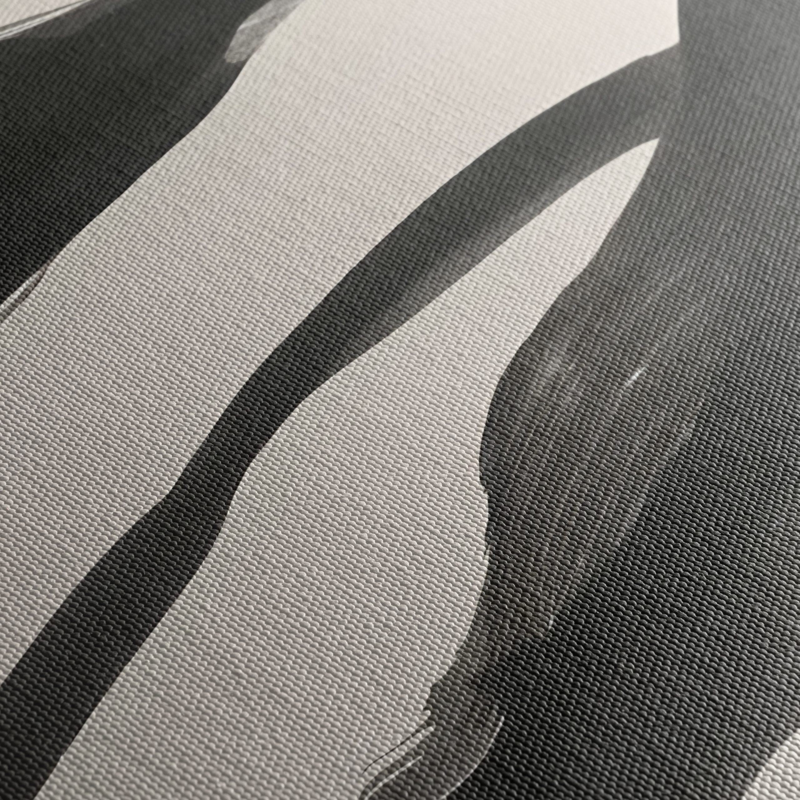 Fluid Black Abstract Art for Modern Spaces - Image 5