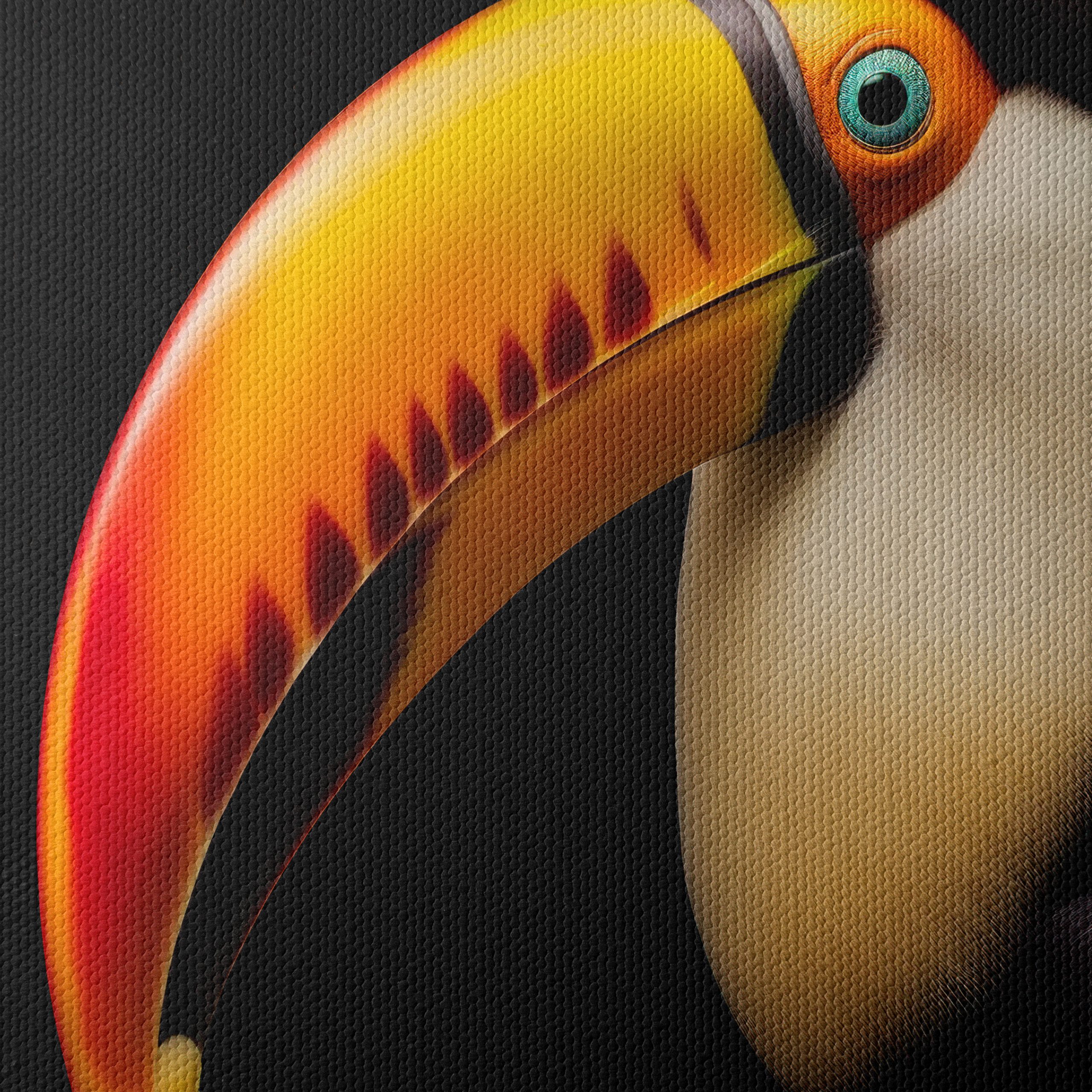 Colorful Toucan Portrait Wall Art - Image 4
