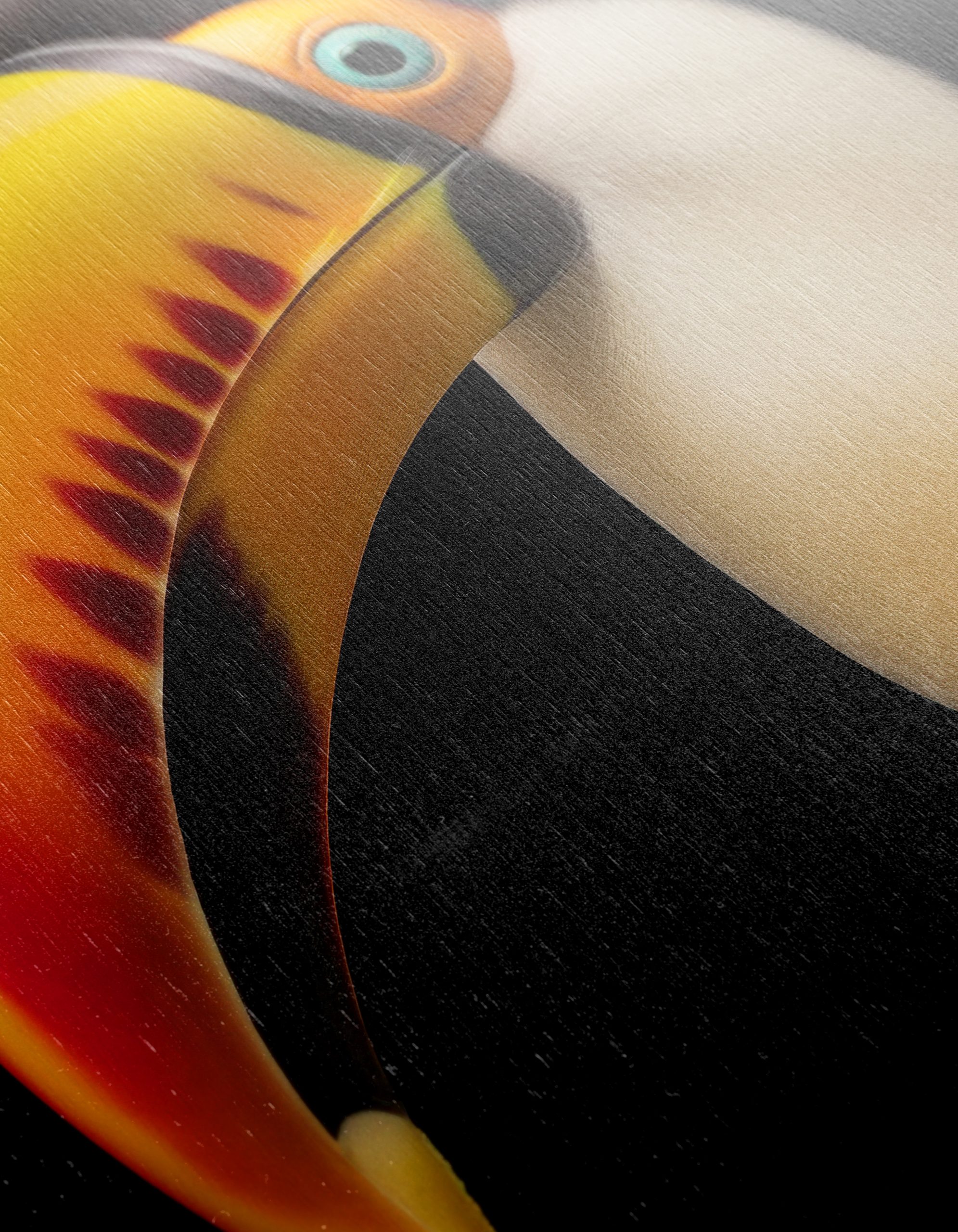 Colorful Toucan Portrait Wall Art - Image 12