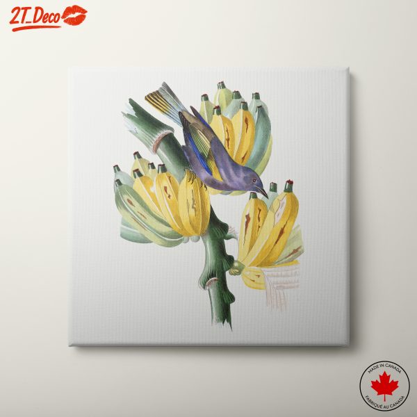 Colorful Botanical Art Featuring Bananas and a Bird