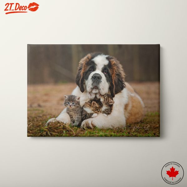 Saint Bernard Dog with Kittens Wall Art