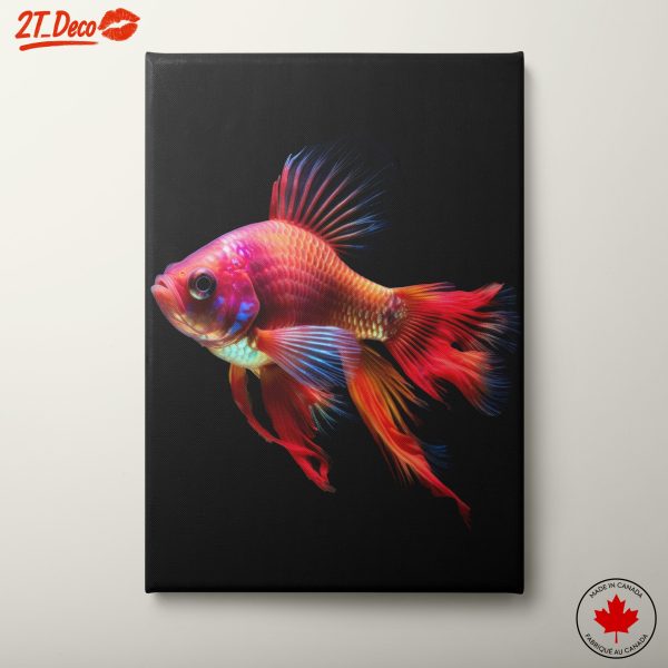 Vibrant Fish for Home Decor