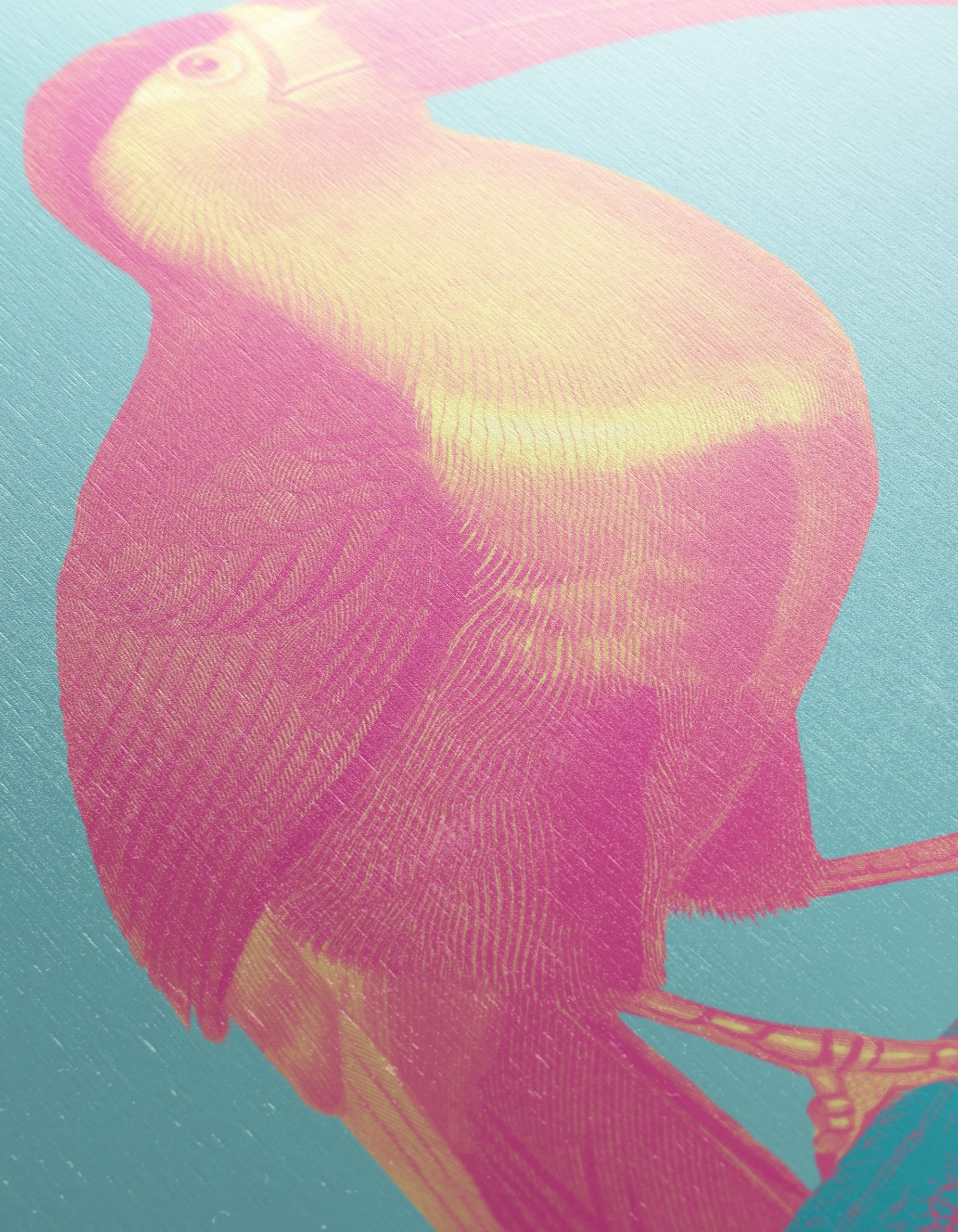 Vibrant Toucan on Abstract Background - Image 12