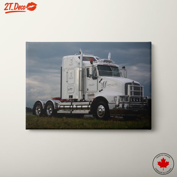 Shiny Truck in Open Field