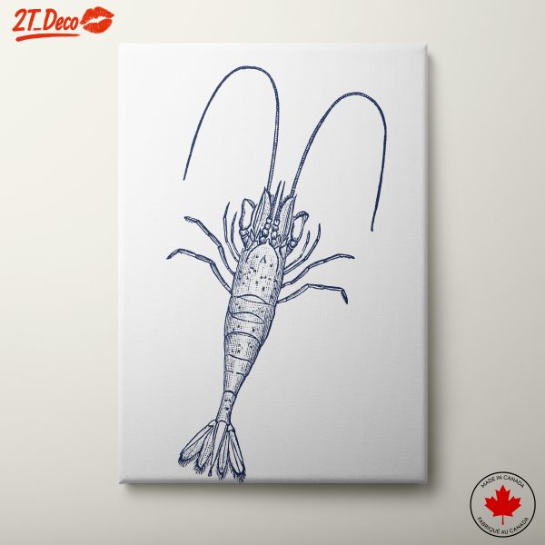 Stylized Shrimp Wall Art