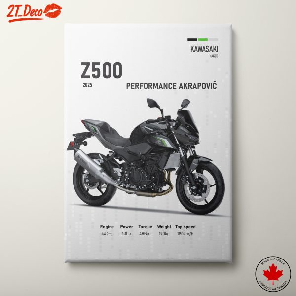 2025 Kawasaki Z500 Motorcycle Performance