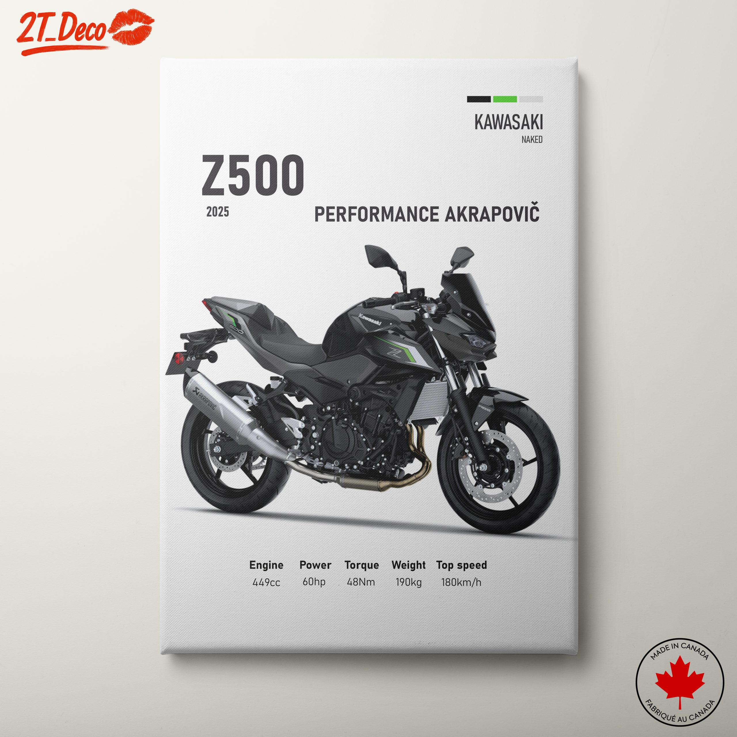 2025 Kawasaki Z500 Motorcycle Performance