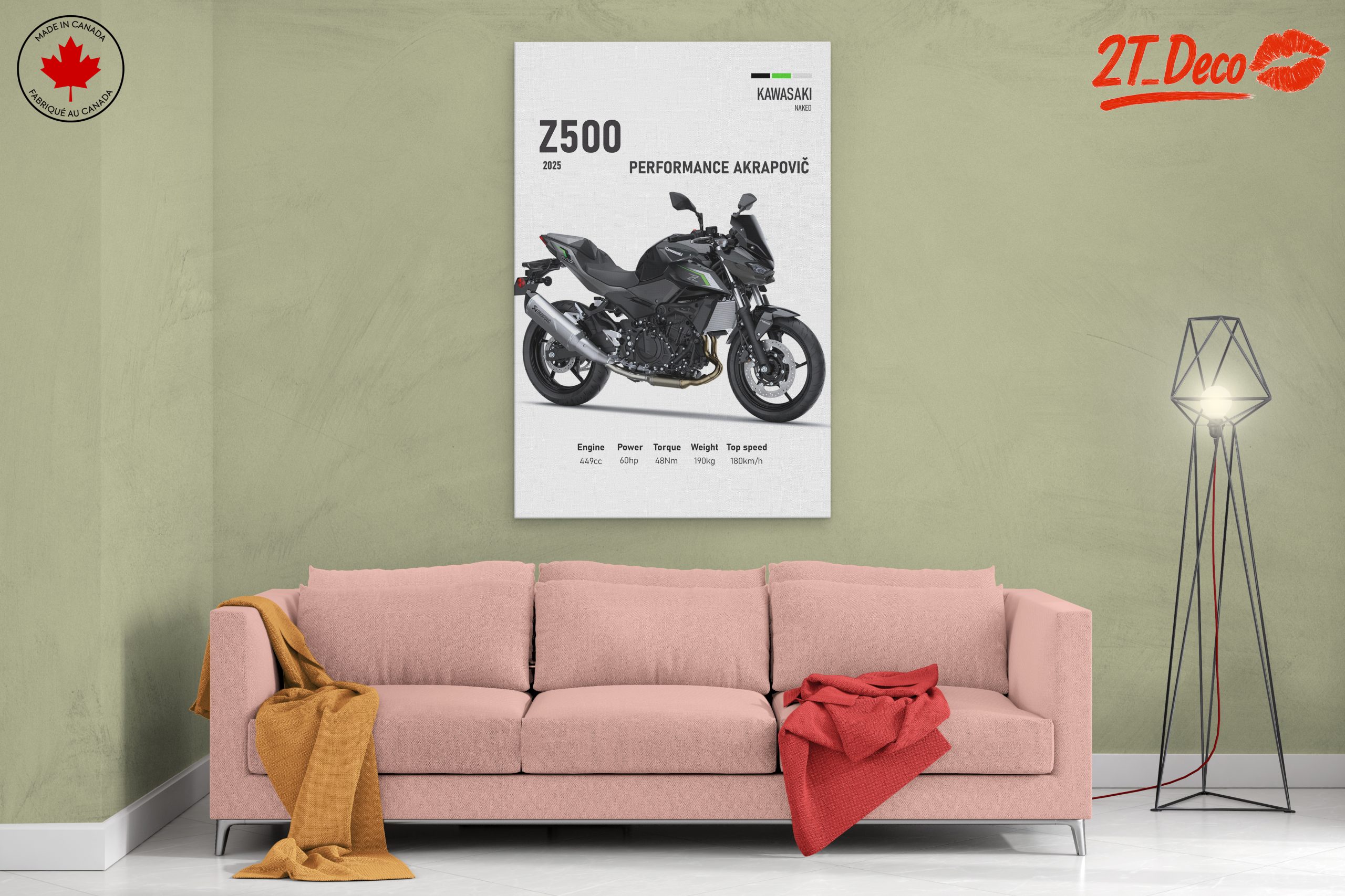 2025 Kawasaki Z500 Motorcycle Performance - Image 2