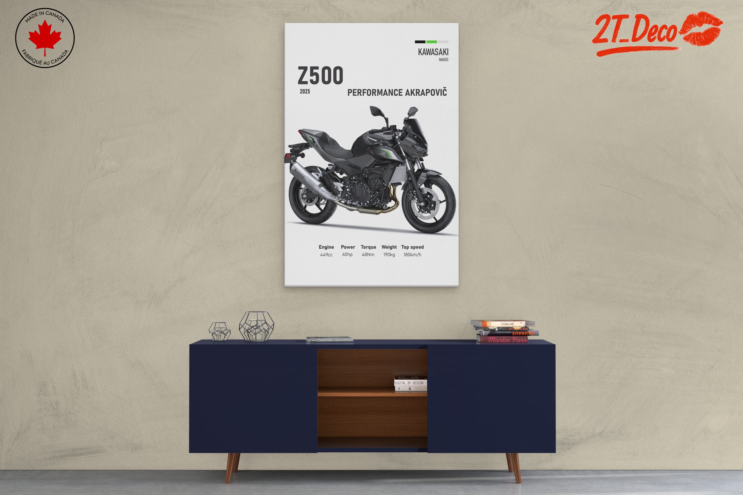 2025 Kawasaki Z500 Motorcycle Performance - Image 3