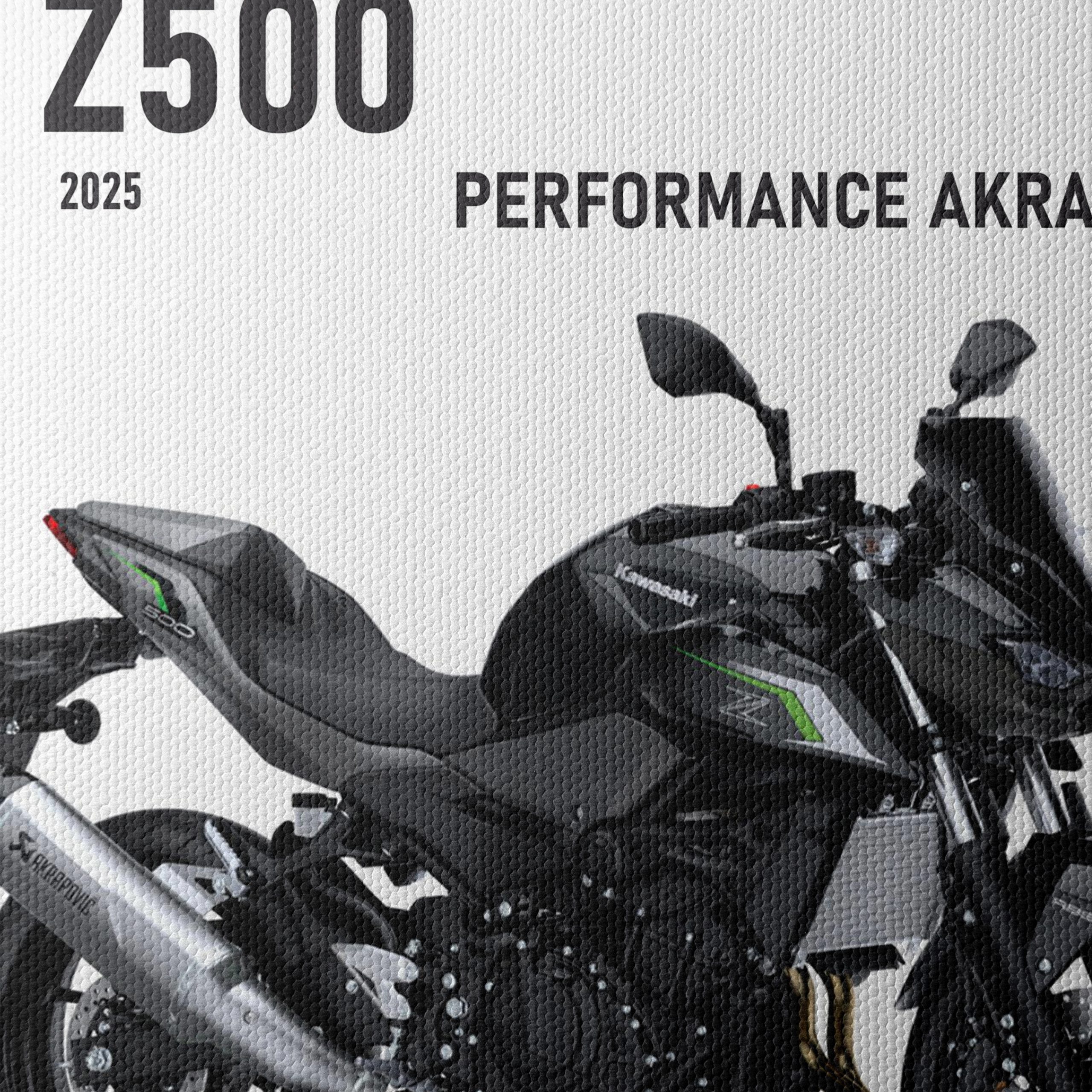 2025 Kawasaki Z500 Motorcycle Performance - Image 4