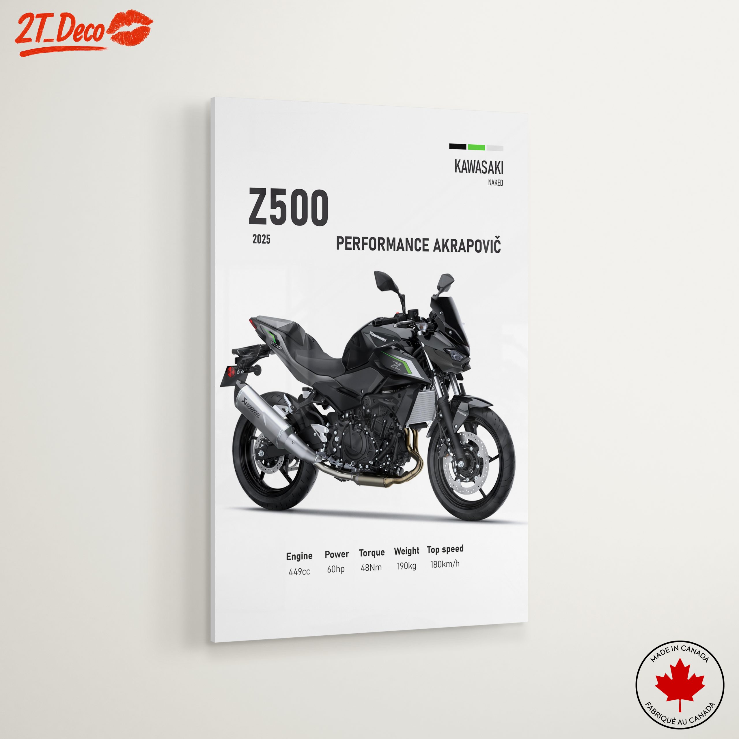 2025 Kawasaki Z500 Motorcycle Performance - Image 6