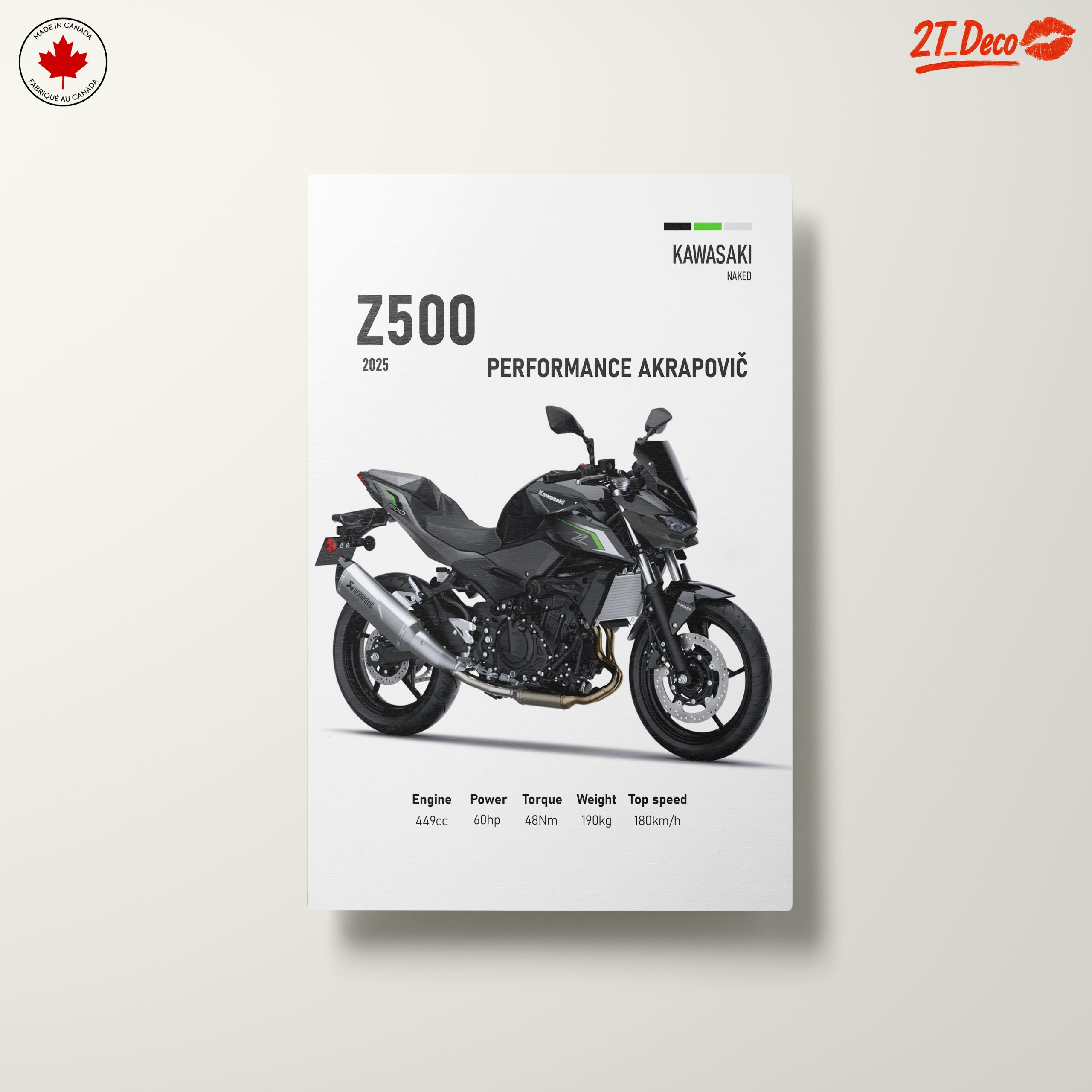 2025 Kawasaki Z500 Motorcycle Performance - Image 10