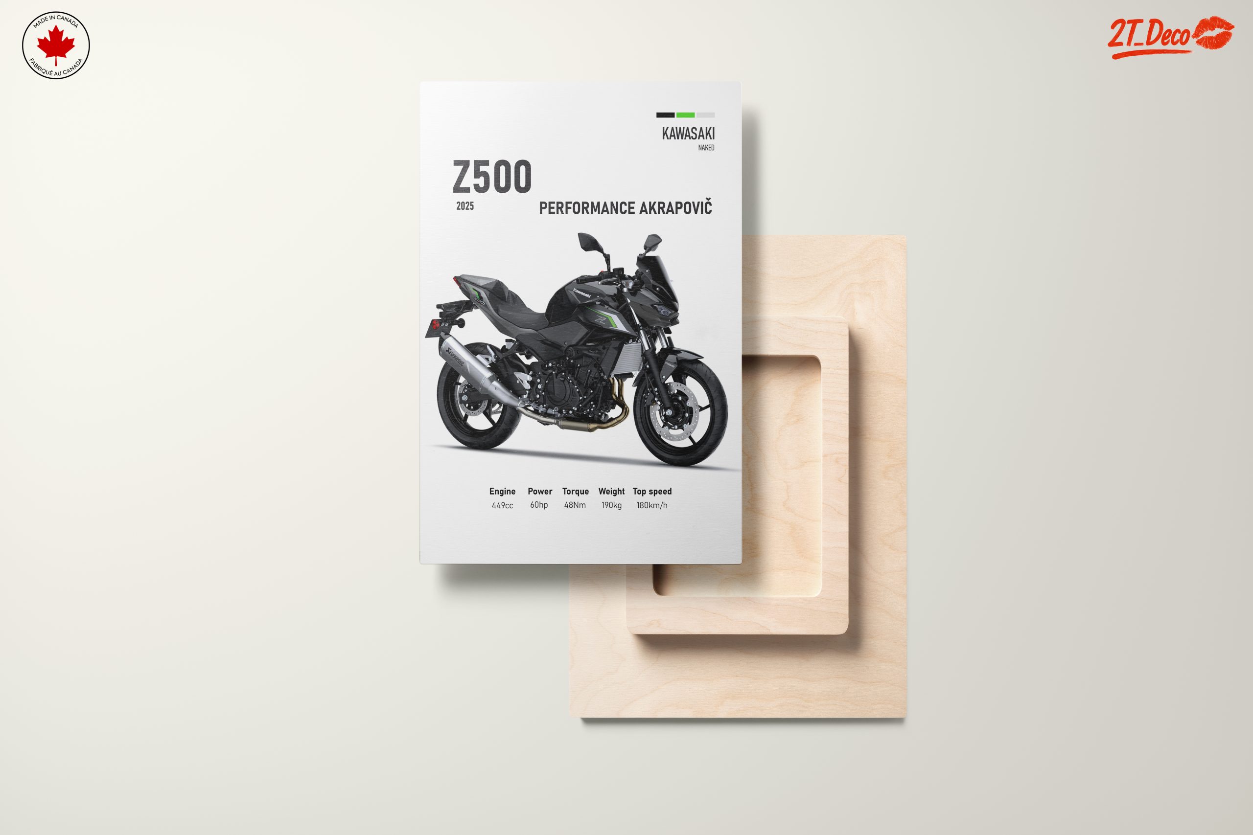2025 Kawasaki Z500 Motorcycle Performance - Image 11