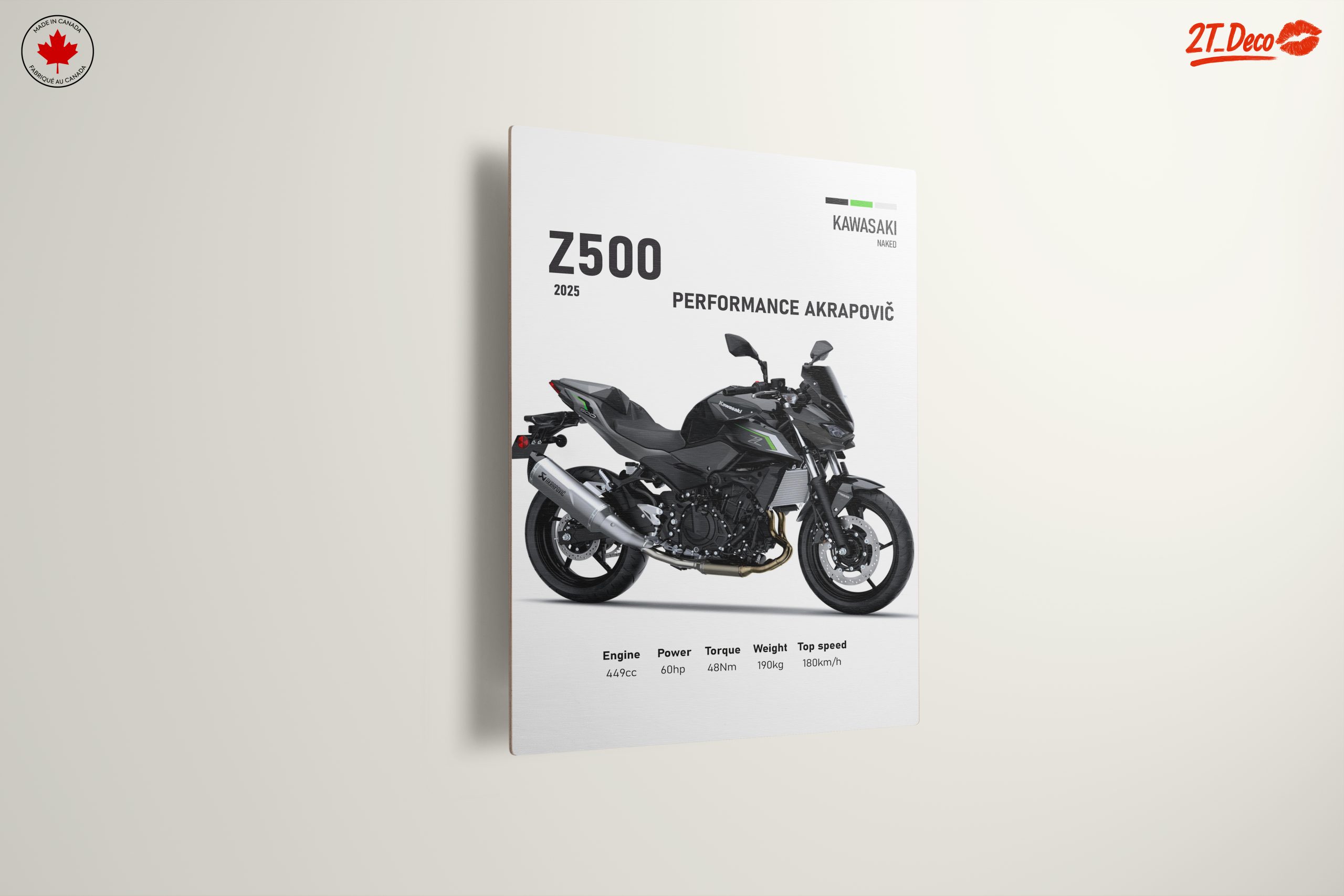 2025 Kawasaki Z500 Motorcycle Performance - Image 13