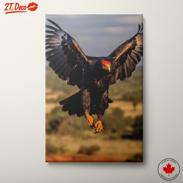 Majestic Eagle in Flight Wall Art 3 1