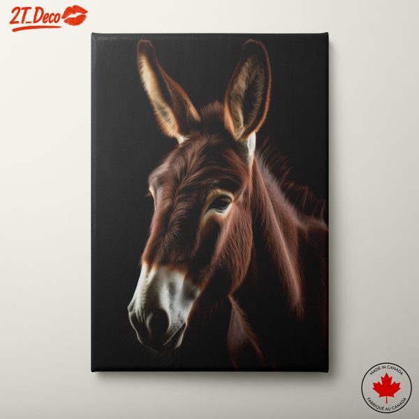 Artistic Donkey Wall Art