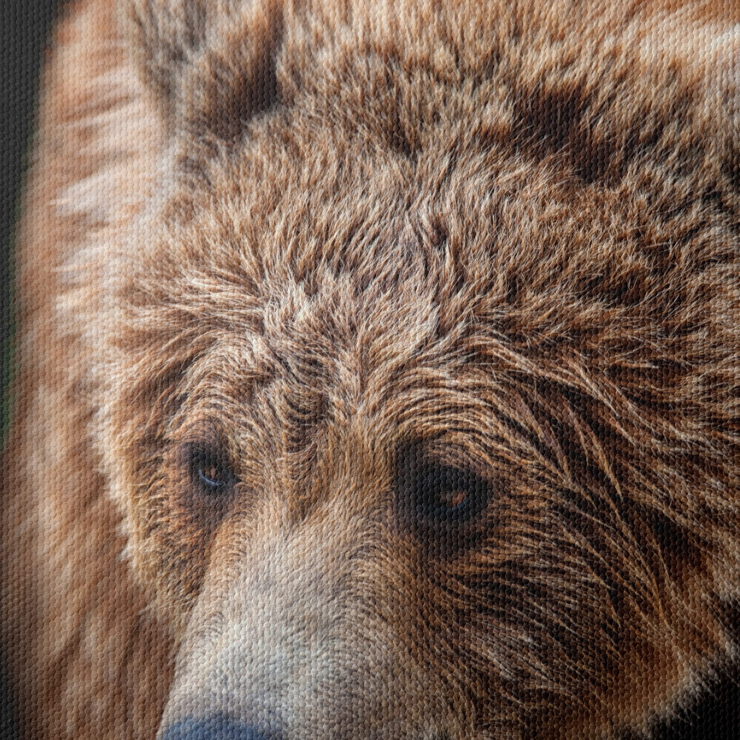 Realistic Bear Portrait Wall Art - Image 4
