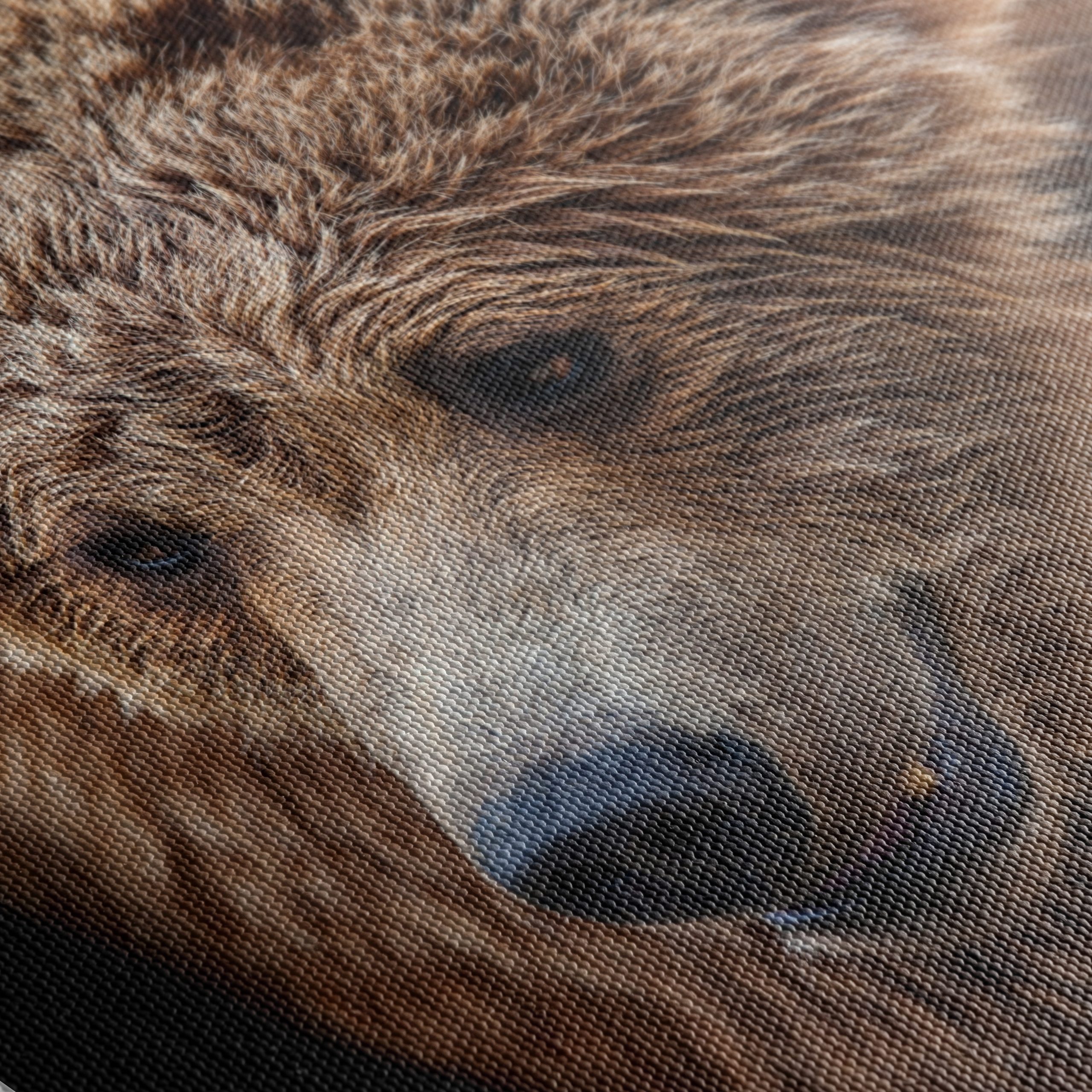 Realistic Bear Portrait Wall Art - Image 5