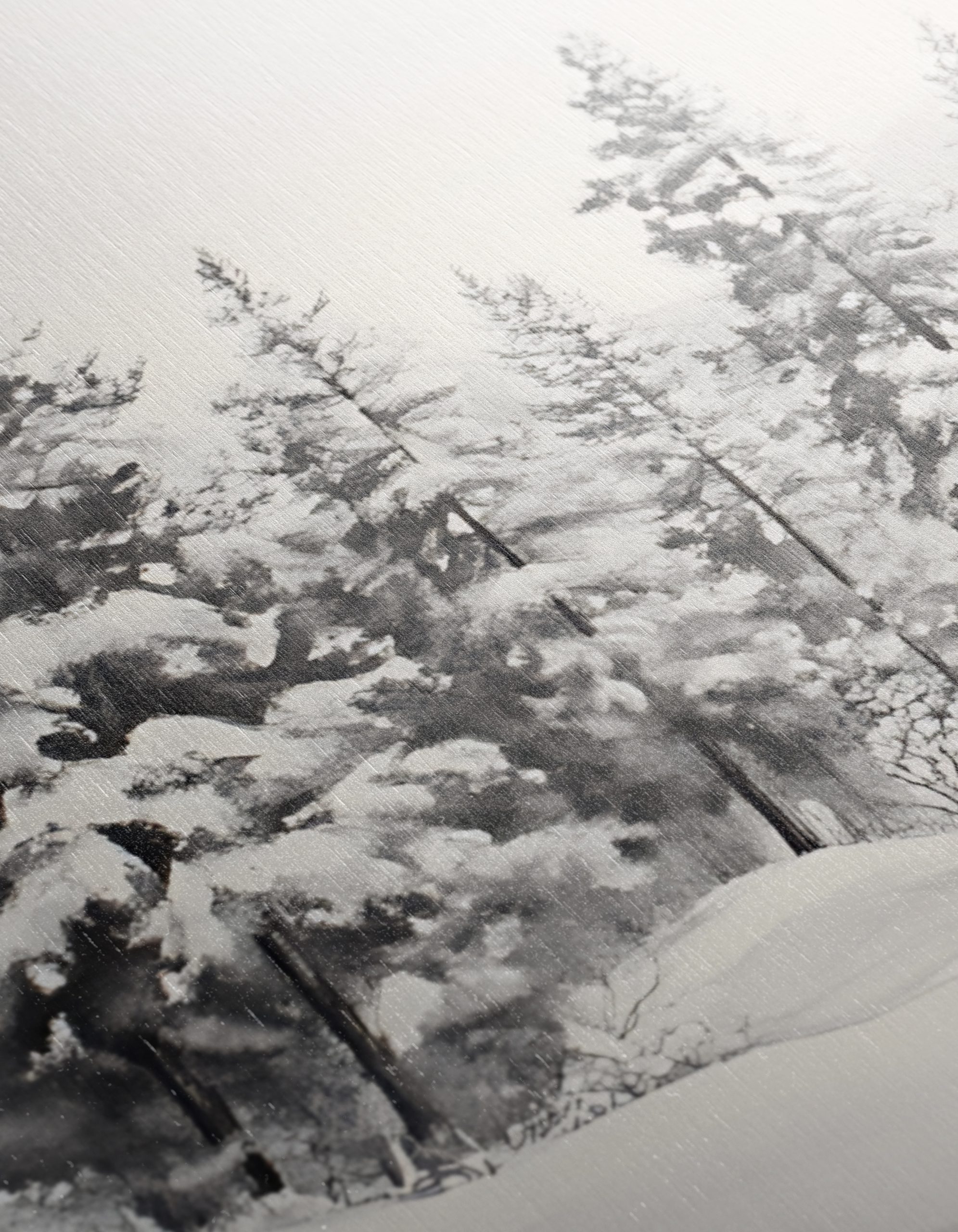 Serene Winter Landscape with Snowy Trees 7 - Image 12