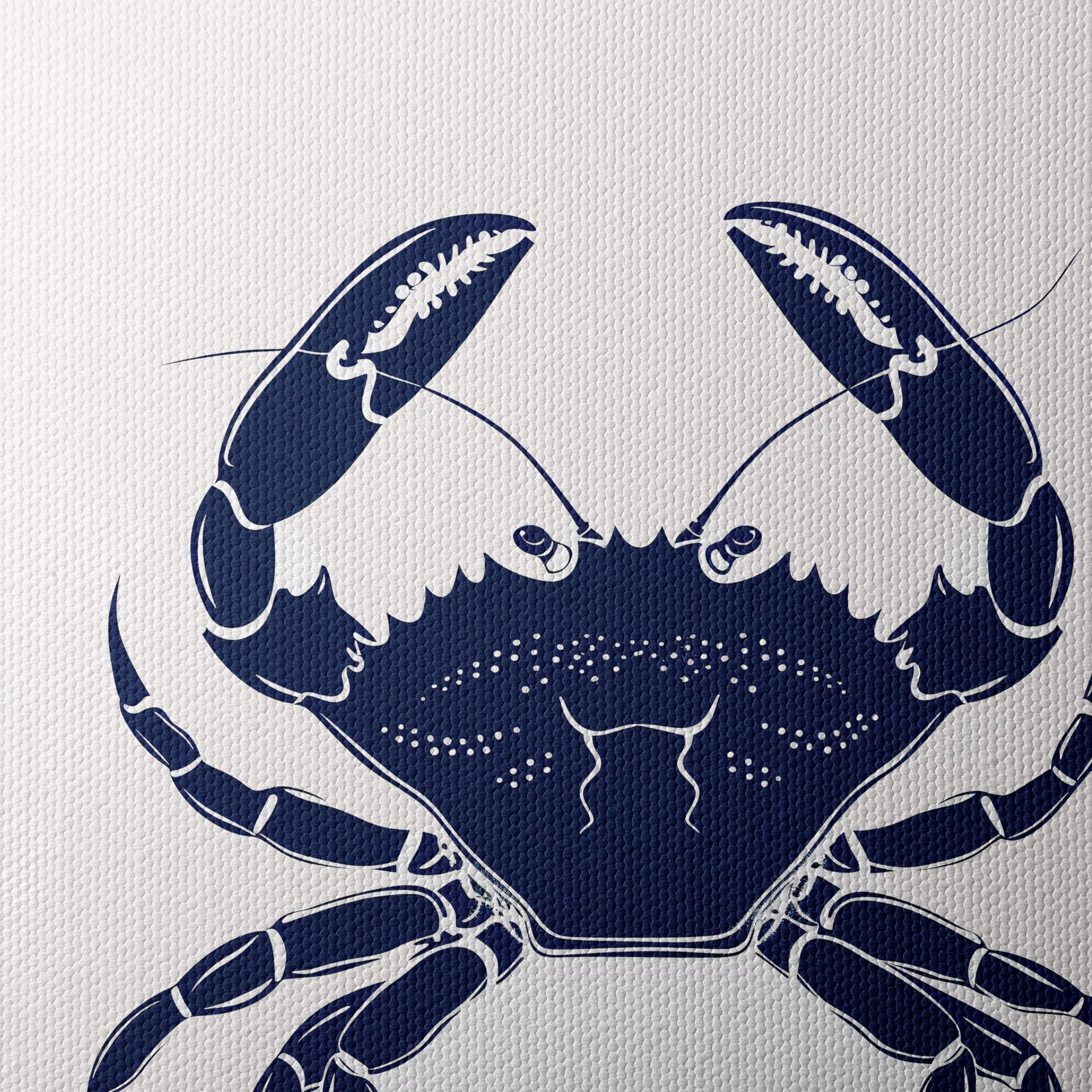 Anatomical Crab Artwork - Image 4